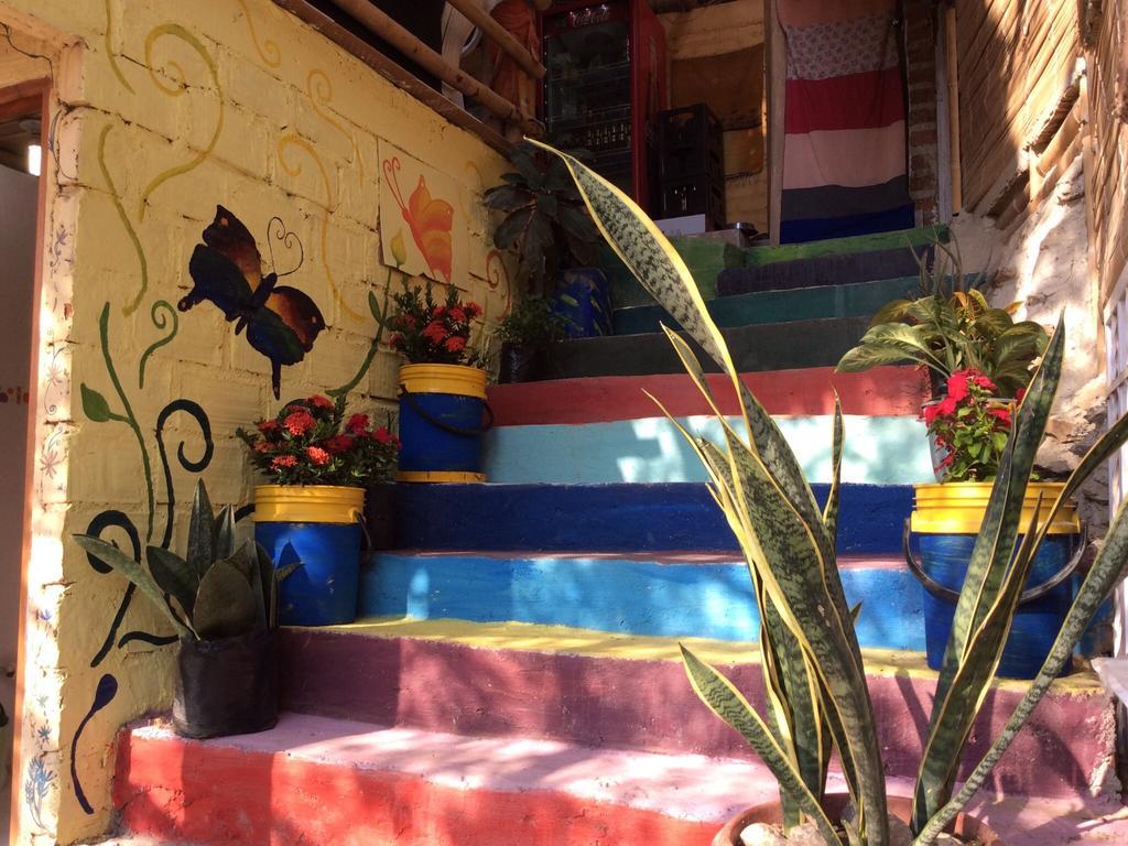 Hostal Casa Horizonte タガンガ エクステリア 写真