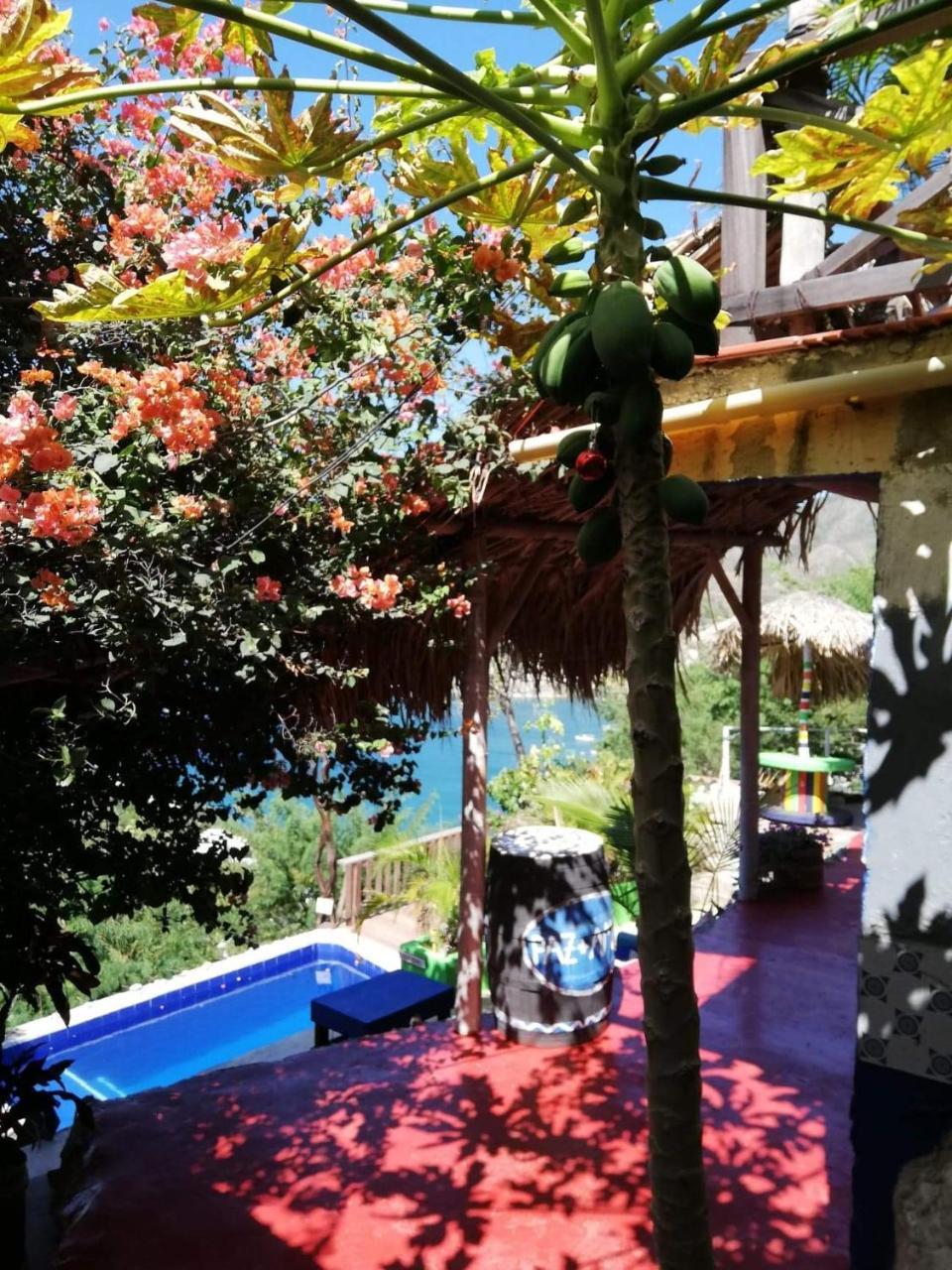 Hostal Casa Horizonte タガンガ エクステリア 写真